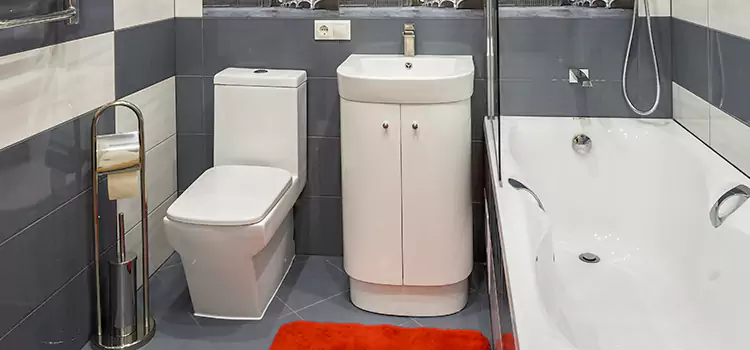 Hansgrohe Shaving Mirror Elko